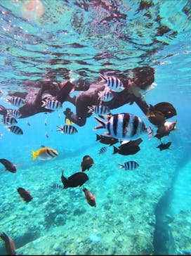 武藤潜水に投稿された画像（2024/9/22）