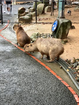 姫路セントラルパークに投稿された画像（2024/9/22）