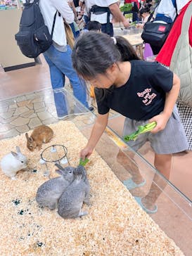 いきもの探検隊上尾に投稿された画像（2024/9/22）