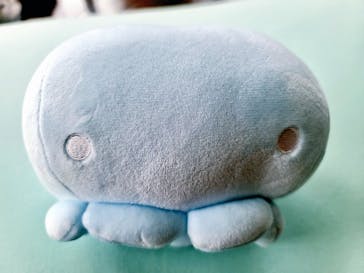 新江ノ島水族館に投稿された画像（2024/9/22）