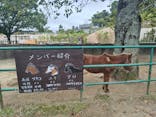 日立市かみね動物園に投稿された画像（2024/9/22）