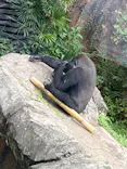 恩賜上野動物園に投稿された画像（2024/9/22）
