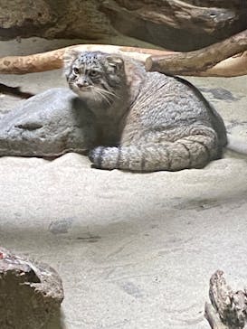 恩賜上野動物園に投稿された画像（2024/9/22）