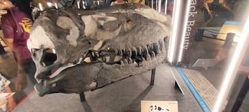 福井県立恐竜博物館に投稿された画像（2024/9/22）