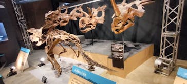 福井県立恐竜博物館に投稿された画像（2024/9/22）