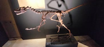 福井県立恐竜博物館に投稿された画像（2024/9/22）