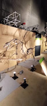 福井県立恐竜博物館に投稿された画像（2024/9/22）