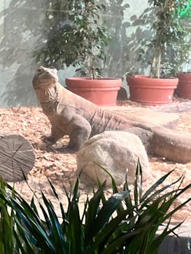 名古屋市東山動植物園に投稿された画像（2024/9/22）