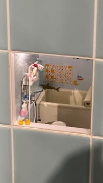 「Mozu ミニチュア展 ようこそ、ちいさな世界へ。」に投稿された画像（2024/9/22）