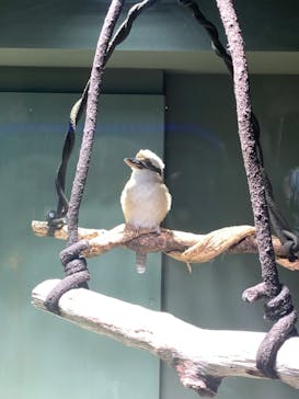 カワスイ 川崎⽔族館に投稿された画像（2024/9/22）