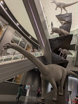 福井県立恐竜博物館に投稿された画像（2024/9/22）