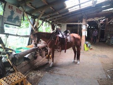 クリオステーブルに投稿された画像（2024/9/22）