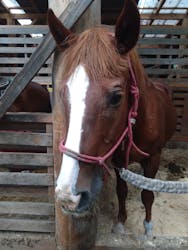 クリオステーブルに投稿された画像（2024/9/22）