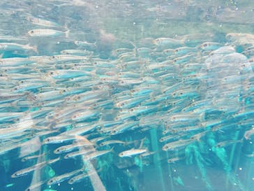 環境水族館アクアマリンふくしまに投稿された画像（2024/9/22）