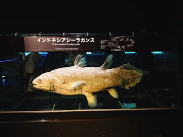 環境水族館アクアマリンふくしまに投稿された画像（2024/9/22）