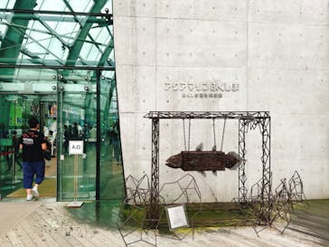 環境水族館アクアマリンふくしまに投稿された画像（2024/9/22）