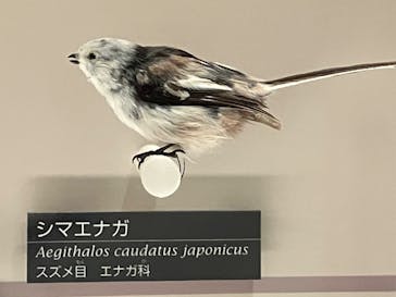国立科学博物館に投稿された画像（2024/9/22）