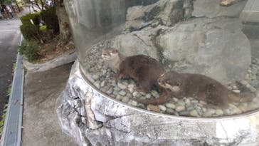 姫路セントラルパークに投稿された画像（2024/9/22）