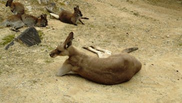 姫路セントラルパークに投稿された画像（2024/9/22）