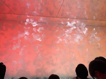 アクアワールド茨城県大洗水族館に投稿された画像（2024/9/22）