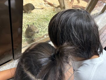 恩賜上野動物園に投稿された画像（2024/9/22）