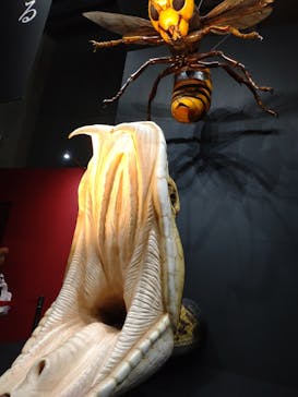 特別展　毒に投稿された画像（2024/9/22）