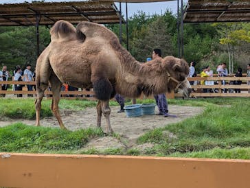 那須どうぶつ王国に投稿された画像（2024/9/22）