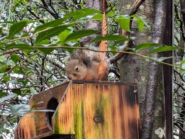 那須どうぶつ王国に投稿された画像（2024/9/22）