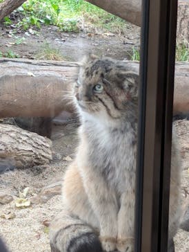 那須どうぶつ王国に投稿された画像（2024/9/22）