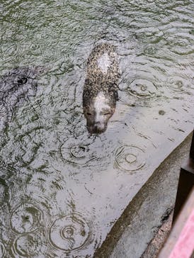 那須どうぶつ王国に投稿された画像（2024/9/22）