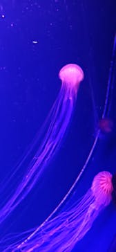 マリンワールド海の中道に投稿された画像（2024/9/22）