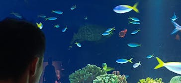 マリンワールド海の中道に投稿された画像（2024/9/22）