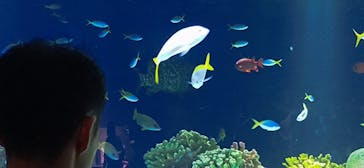 マリンワールド海の中道に投稿された画像（2024/9/22）