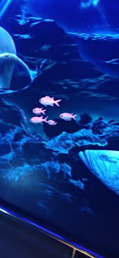 マリンワールド海の中道に投稿された画像（2024/9/22）