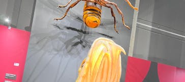 特別展　毒に投稿された画像（2024/9/22）