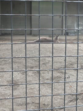 恩賜上野動物園に投稿された画像（2024/9/22）