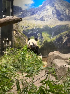 恩賜上野動物園に投稿された画像（2024/9/22）