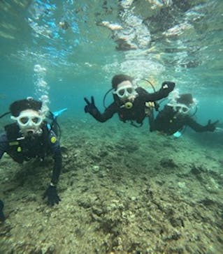 沖縄マリンサービス碧に投稿された画像（2024/9/22）