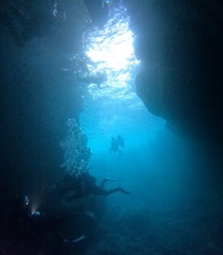 沖縄マリンサービス碧に投稿された画像（2024/9/22）