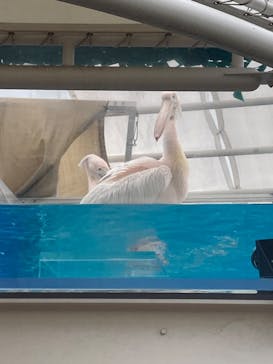 サンシャイン水族館に投稿された画像（2024/9/22）
