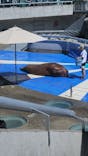 大分マリーンパレス水族館 「うみたまご」に投稿された画像（2024/9/22）