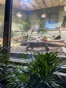 名古屋市東山動植物園に投稿された画像（2024/9/22）