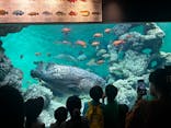 葛西臨海水族園に投稿された画像（2024/9/22）