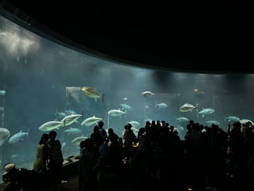 葛西臨海水族園に投稿された画像（2024/9/22）