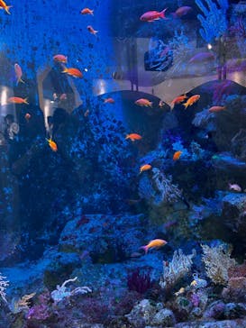 葛西臨海水族園に投稿された画像（2024/9/22）