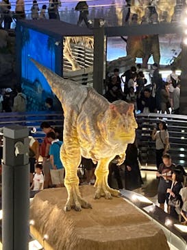 福井県立恐竜博物館に投稿された画像（2024/9/22）