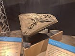 福井県立恐竜博物館に投稿された画像（2024/9/22）