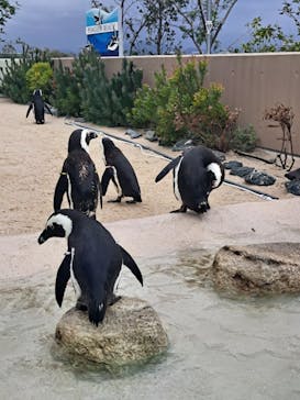 マリンワールド海の中道に投稿された画像（2024/9/22）