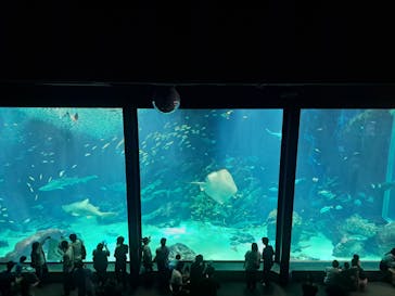 マリンワールド海の中道に投稿された画像（2024/9/22）