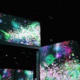 モネ＆フレンズ・アライブに投稿された画像（2024/9/22）